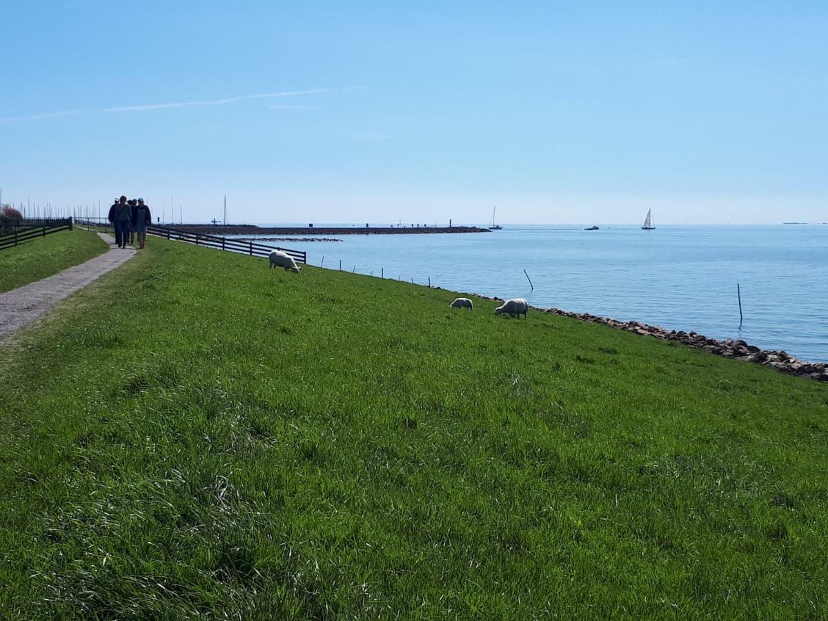 Heerlijk Huis Aan Het Ijsselmeer Stavoren Exterior foto